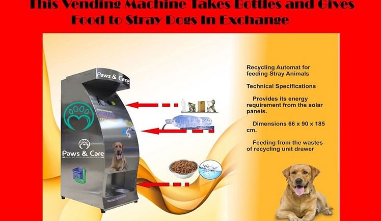 Dog feeding hot sale machine