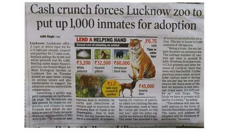 Whiskers&Wings - Help The Lucknow Zoo Animals - Ketto