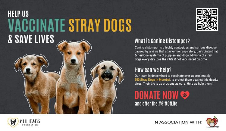 Help Us Vaccinate Stray Animals And Save Lives - Ketto