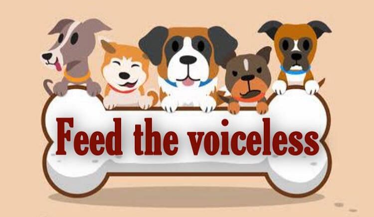 FEED THE VOICELESS ( Medication And Food For Stray Animals) - Ketto