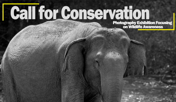 'Call For Conservation' Wildlife Photography Exhibition - Ketto